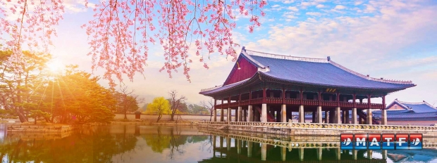 MATF Offer | Fly to your Favourite Destinations from SGD116 with Malaysia Airlines