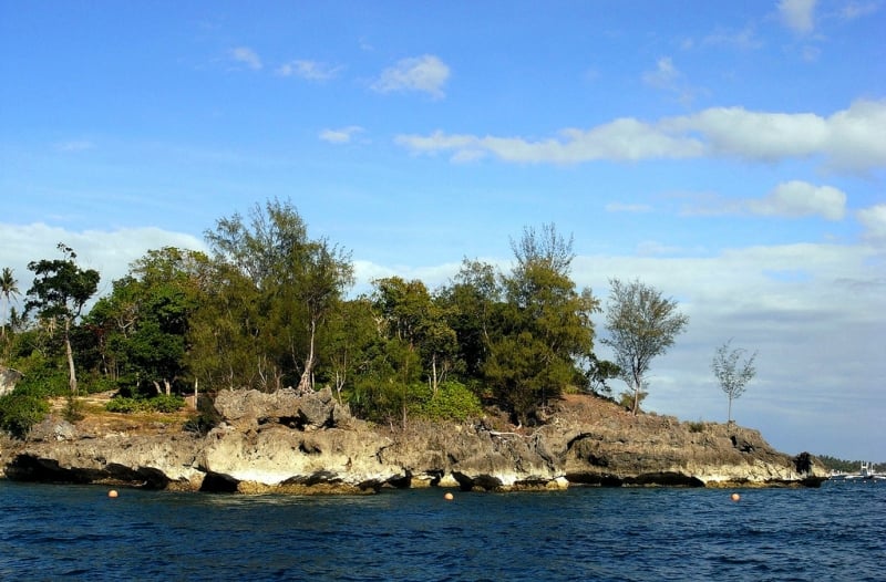 crocodile island boracay