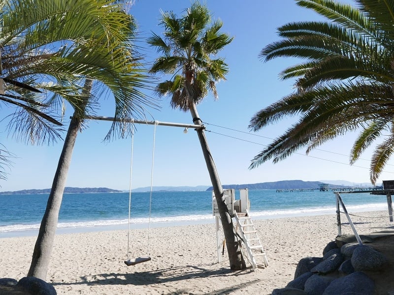 palm trees swing in Itoshima, Kyushu, Japan