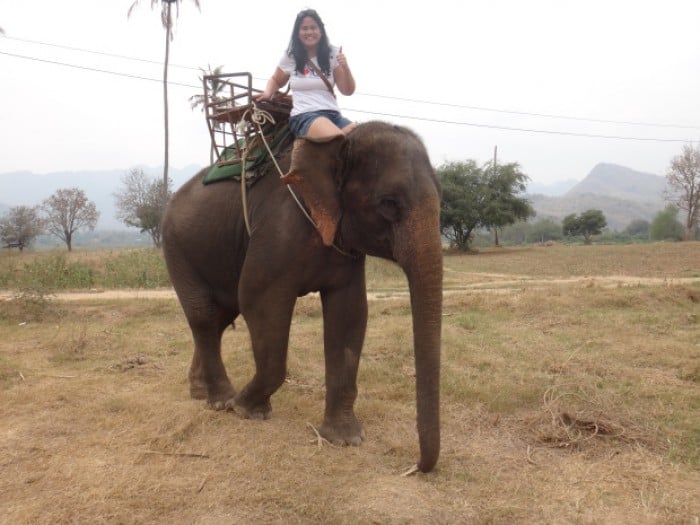 elephant ride thailand