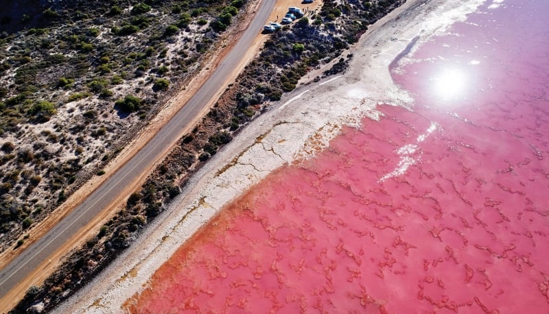 pink lake buggy tours