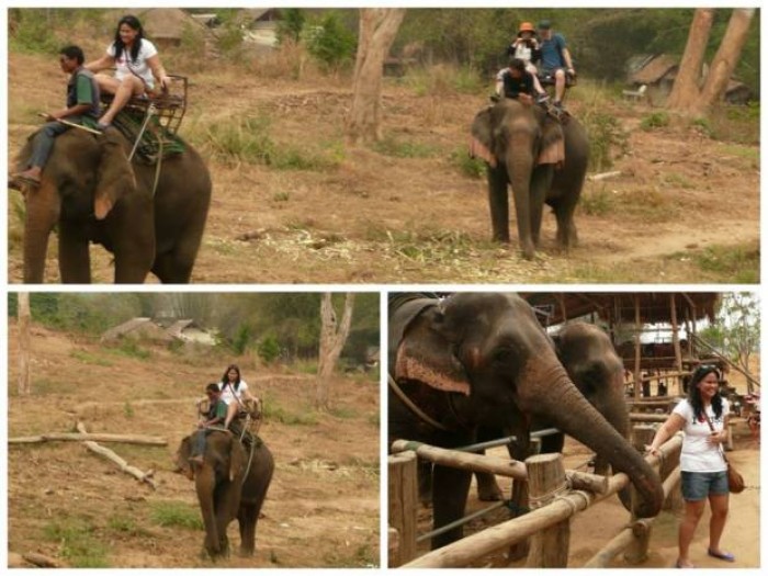 riding elephants in thailand