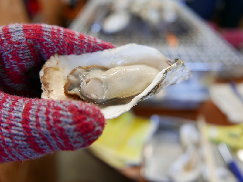 kakigoya oysters