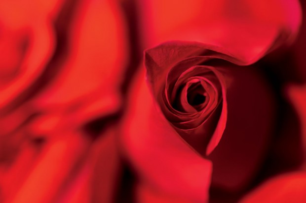 The Gift of Touch this Valentines Day in The Ritz-Carlton Millenia Singapore