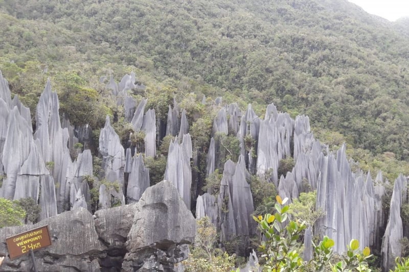 mulu pinnacles