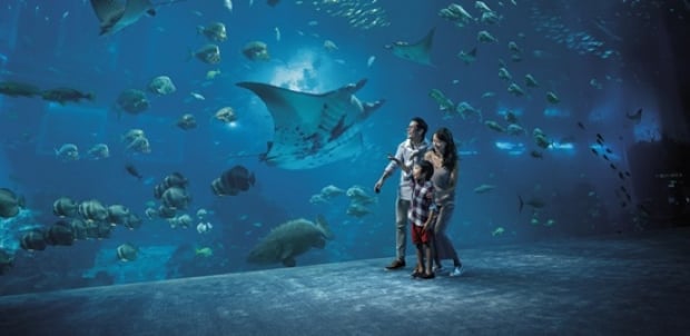 S.E.A. Aquarium + The Maritime Experiential Museum and Typhoon Theatre Adult One-Day Ticket with SGD5 Retail Voucher (min spend SGD35) at SGD41