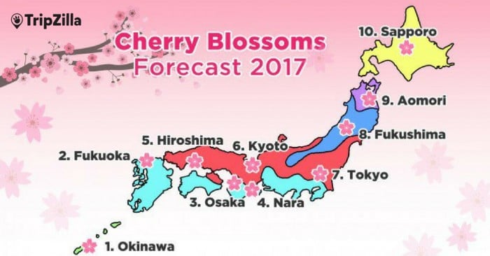 Japan’s Cherry Blossoms 2017 Forecast: When & Where to Catch Them?