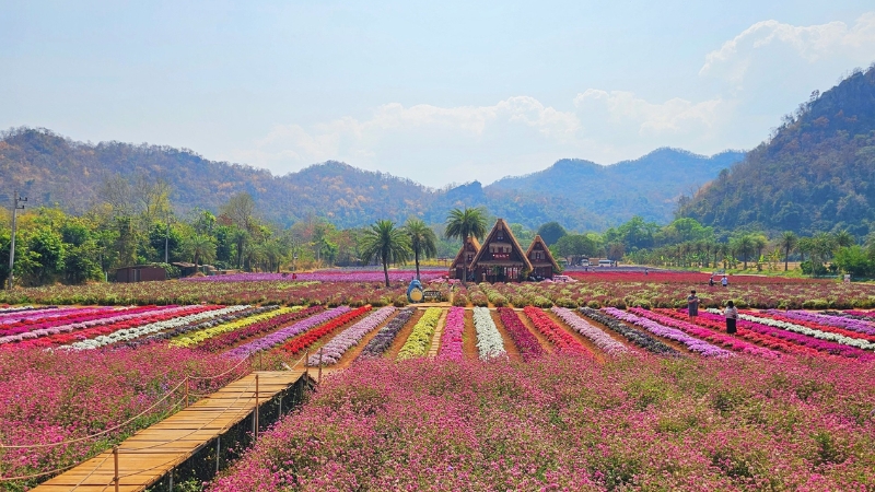 hokkaido flower park thailand