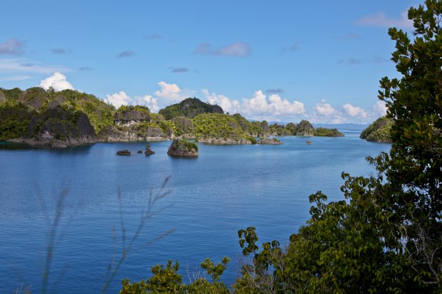 Raja Ampat – điểm đến của những người mê lặn biển