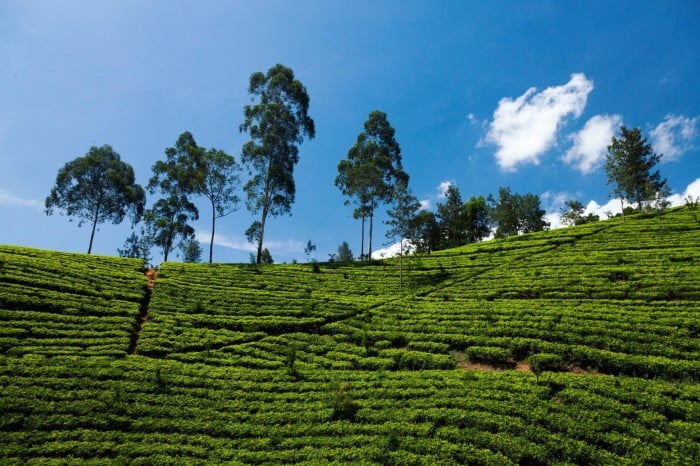 sri lanka