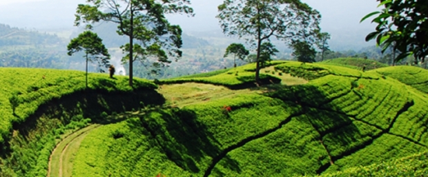 Promotional Fares on Exciting Destinations with SilkAir and MasterCard