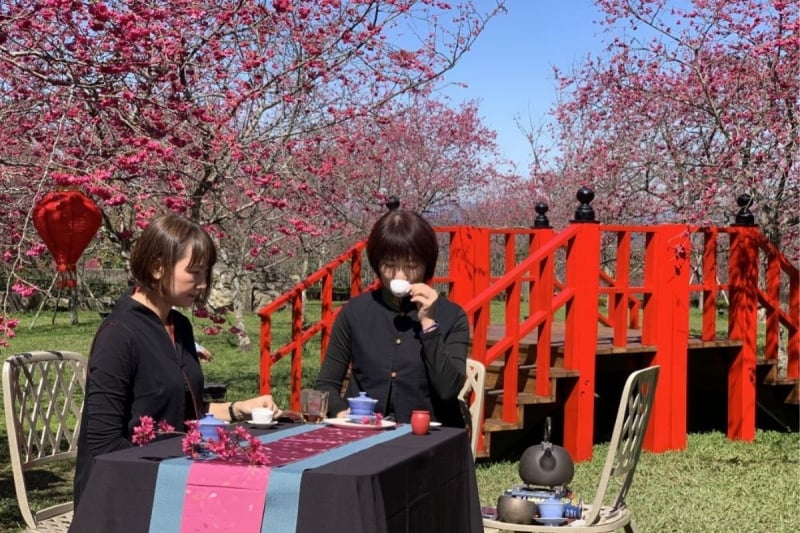Flower festival tea party
