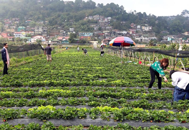 baguio famous tourist spot