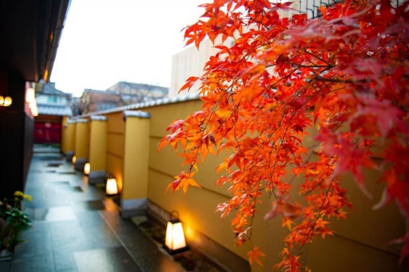 autumn kyoto