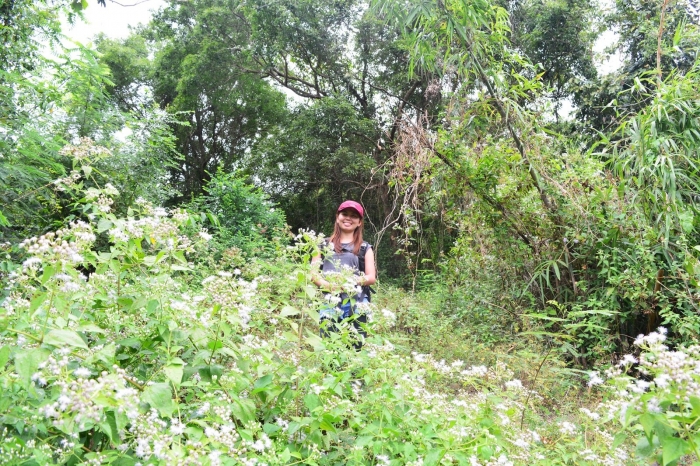 mount tibig batangas