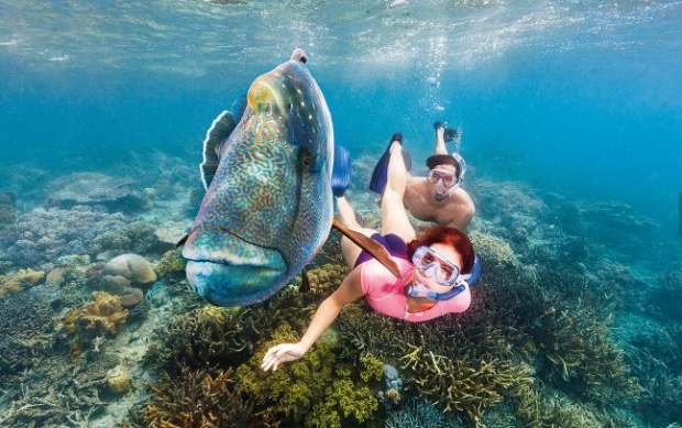 Fly to Queensland with Singapore Airlines