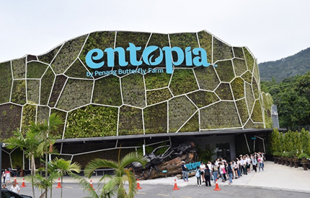 Stay Entopia Offer at Holiday Inn Resort Penang