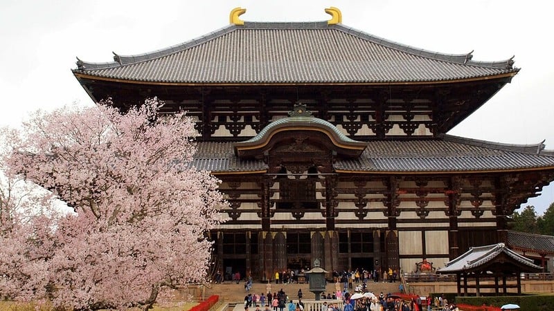 Todaiji Temple Japan