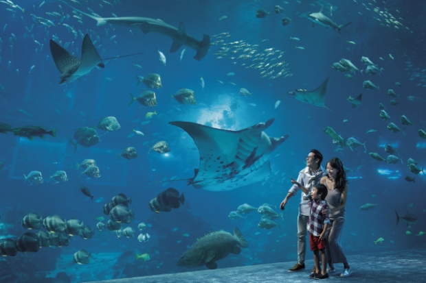 Awesome Promotion in Resorts World Sentosa with SG52 Promotion 2