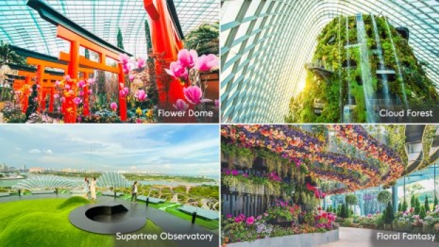 50% Off Tickets to Gardens by the Bay