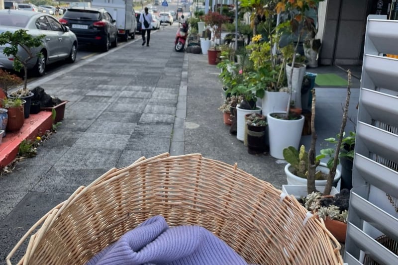 cycling in jeju