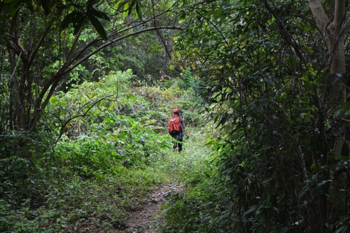 mount tibig batangas