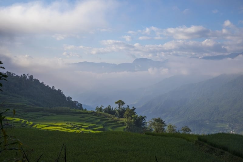 sapa rice fields vietnam