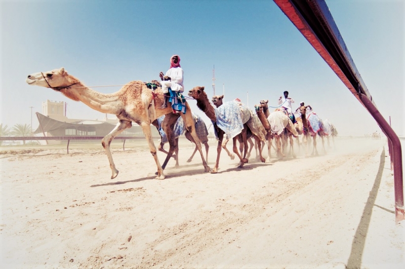 outdoor activities qatar