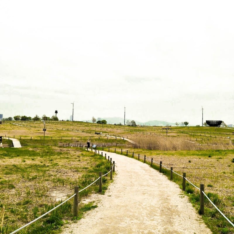 nature parks in seoul