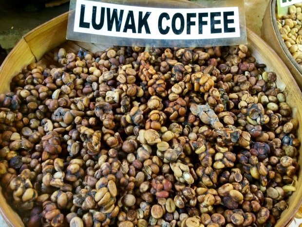 Cà phê Kopi Luwak