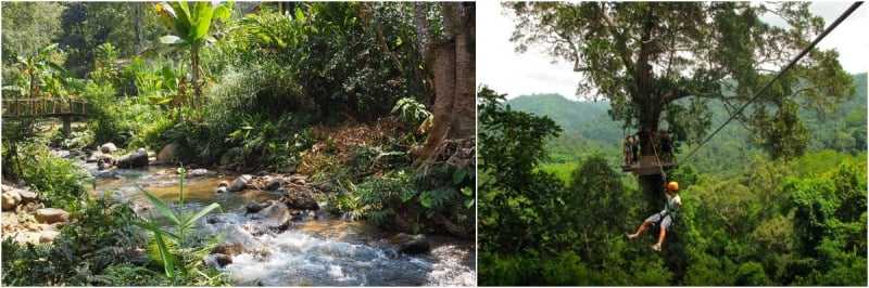 Mae Kampong, Chiang Mai, Thailand