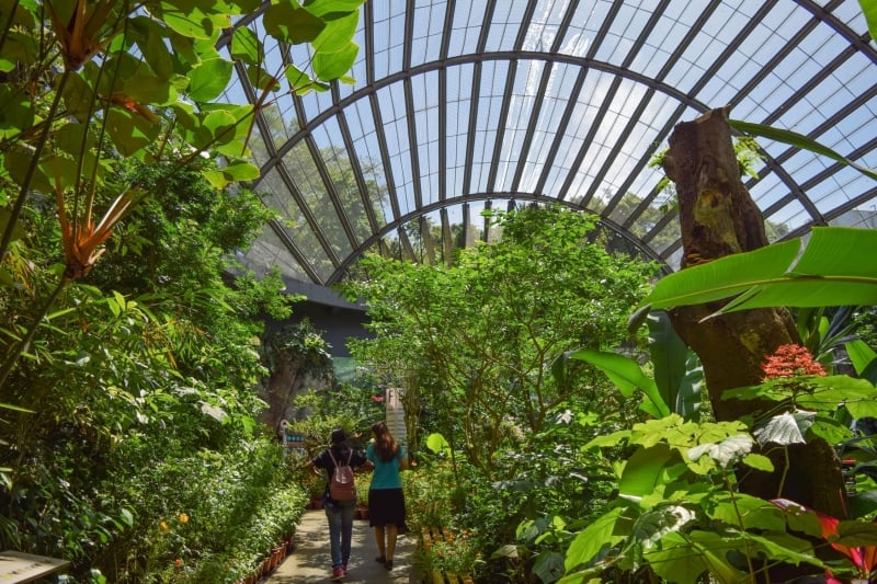 Penang Butterfly Farm