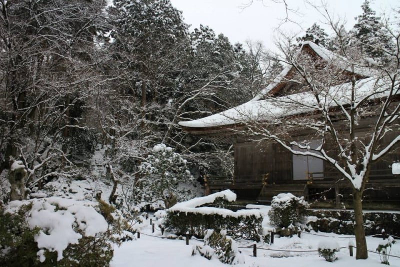 My Experience Staying Overnight in Jorengein Temple, Kyoto | TripZillaSTAYS