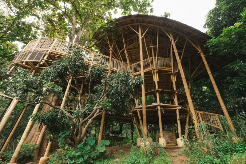 airbnbs in thailand treehouse