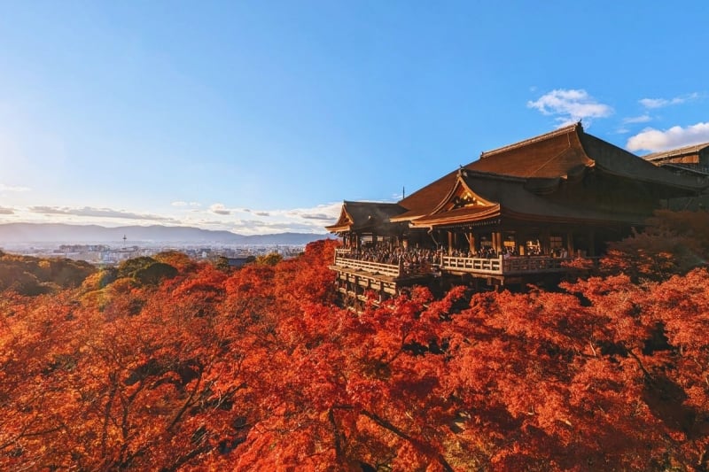 kyoto autumn