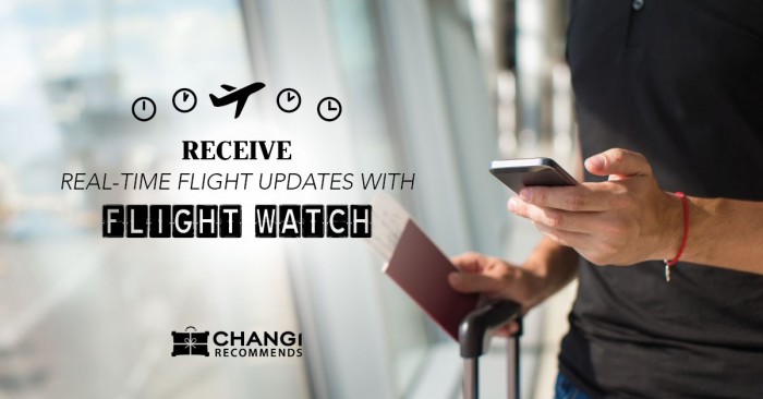 changi recommends flight watch