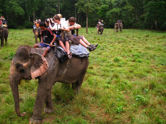 Chitwan National Park