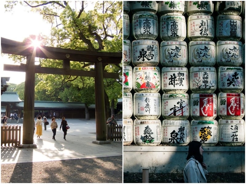 things to do in shibuya: visit meiji shrine