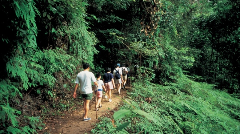 hiking nature trails singapore