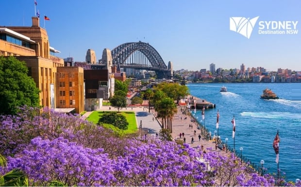 Discover the Best of Sydney with Singapore Airlines