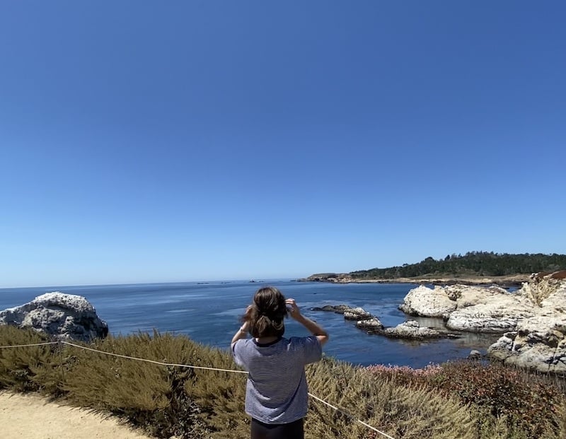 california coastal road trip