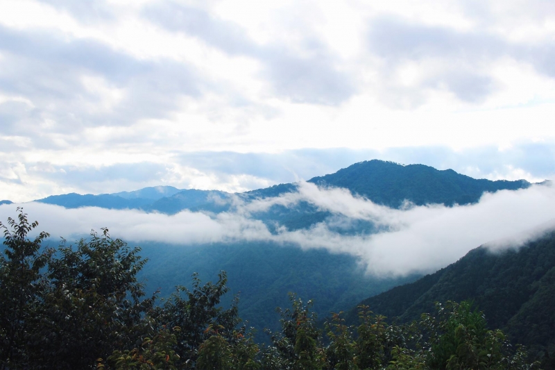 leisure farms in taiwan