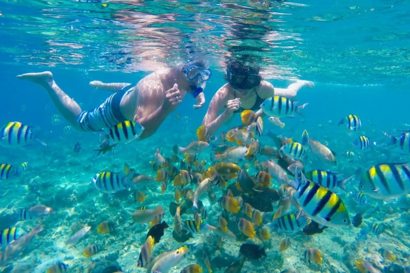 Lombok snorkeling