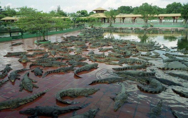 suoi tien theme park