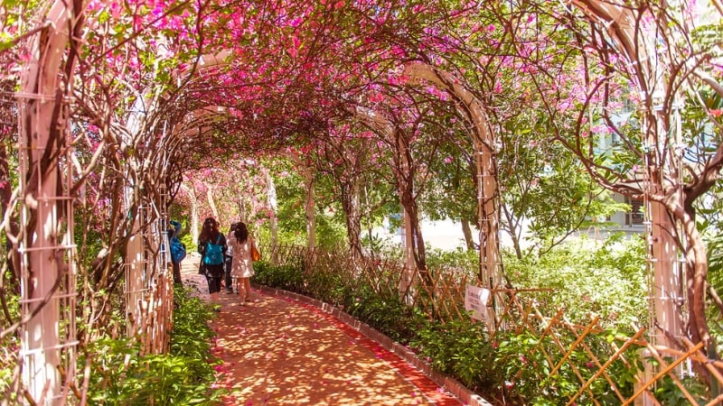 Un Chau Estate Flower Tunnel hong kong