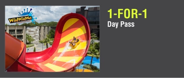 1-FOR-1 Day Pass in WildWildWet with your NTUC Card