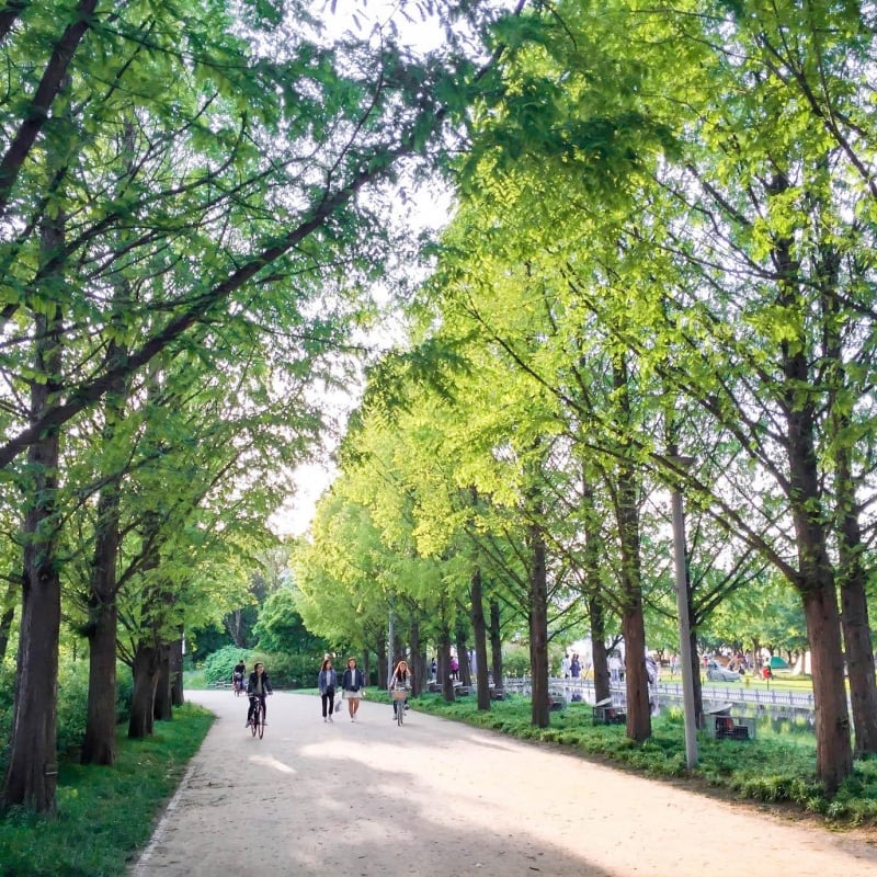 nature parks in seoul