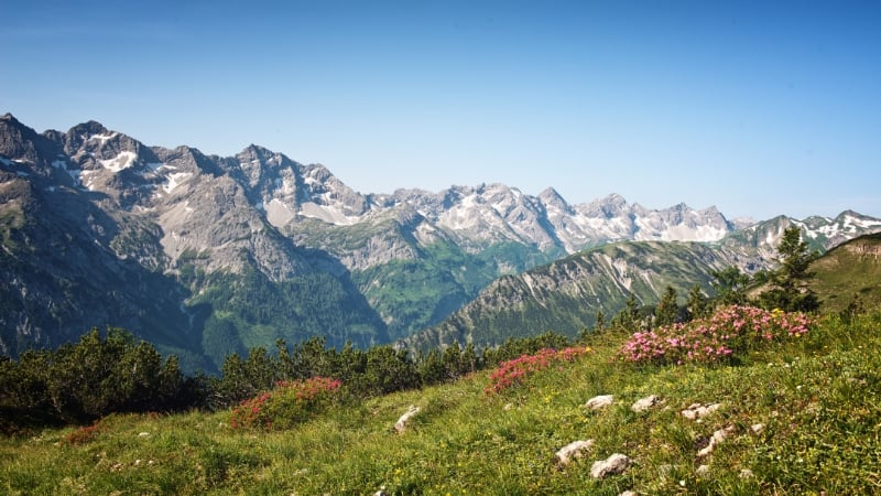 austrian alps