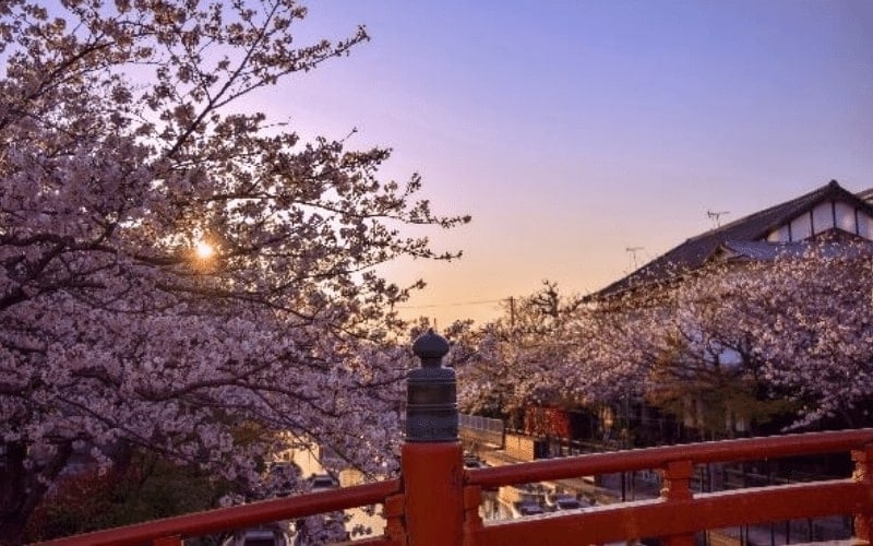 breathtaking fukuoka tourist spots