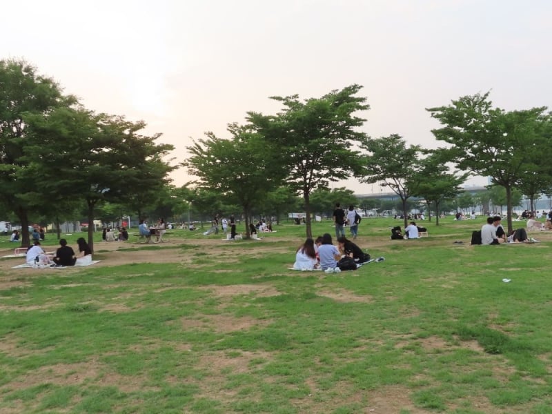 han river park, han river picnic